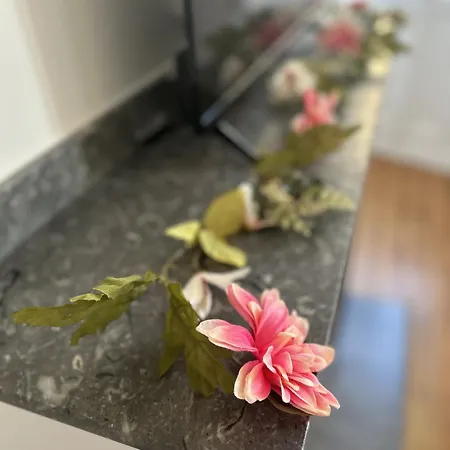 Apartment Le Toulousain 202 - Cosy En Hypercentre - Quartier Jeanne D'arc Toulouse