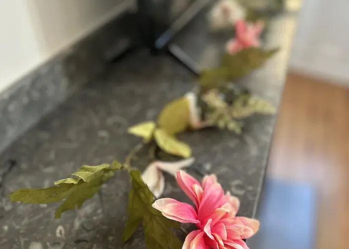 Appartamento Le Toulousain 202 - Cosy En Hypercentre - Quartier Jeanne D'arc Tolosa